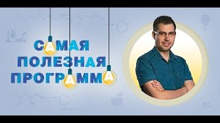 Самая полезная программа Самая полезная программа