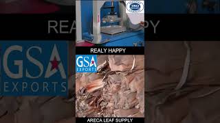 LEAF PLATE MACHINE FULLY AUTOMATIC | HOMEMADE BUSINESS #automation #shorts #food #business.