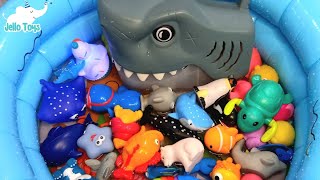 Sea Animal Toys For kids| Learn Ocean Animals Names and Fun facts| water animals