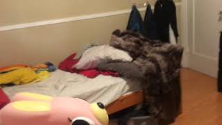 Pink Dog Toy Meme Part 3