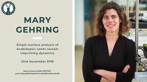 Mary Gehring - Single nucleus analysis of Arabidopsis seeds reveals imprinting dynamics