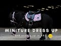 I played dress up with my mini pony and ended up in ae