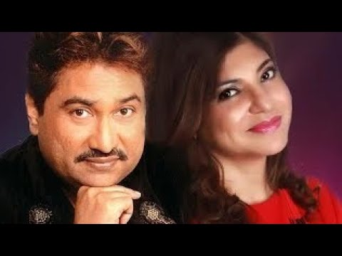 Teri Chahat Mein Dil Yeh Deewana Hua  Kumar Sanu  Sadhna   The Don 1995   Full MP3 Song HD