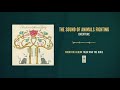 The Sound of Animals Fighting "Overture"