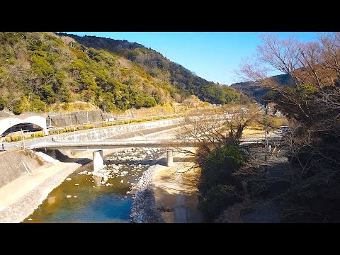 せりぽよ（芹澤美咲）