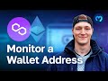 Monitor crypto wallet addresses  beginner introduction to moralis streams