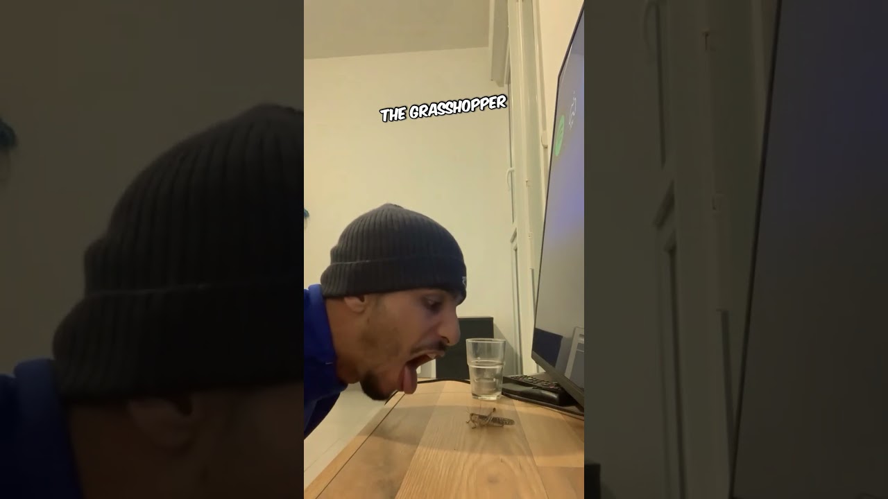 Grasshopper’s Hilarious Payback Caught on Camera 