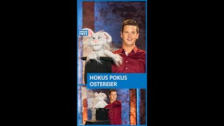 Tim Becker – Zaubertricks mit  Karl K. Ninchen.