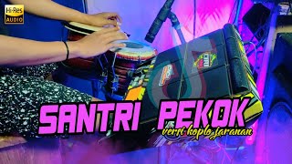 SANTRI PEKOK || ARIF CITENX // VERSI JARANAN TERBARU COVER VERSION