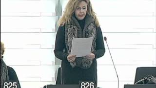 Cecilia Wikström on Single application procedure for residence and work