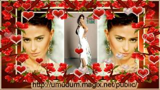 Yildiz Ti̇lbe Papatya Bahari Resimi