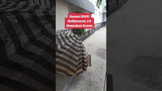 Homeless Sleep Where They Want To In Hollywood homeless hollywood 247homeless