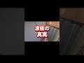 波板の真実 #shorts #単管パイプ小屋 #diy #単管パイプ小屋diy