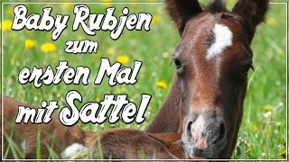 Baby RUBJEN zum ERSTEN MAL mit Sattel  