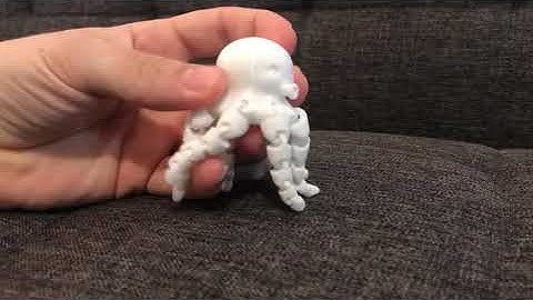 How to 3D Print Mini Octopus