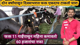 जिद्द न सोडता केले यशस्वी hf गायपालन | Chara niyojan hf cow dairy farming in maharashtra