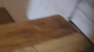 Bugs Bunny Falls Downstairs