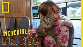 Princess in Peril | The Incredible Dr. Pol