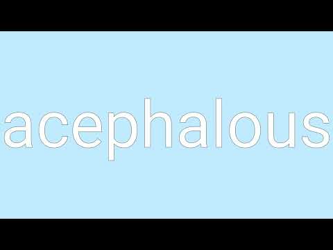 Acephalous Definition & Meaning