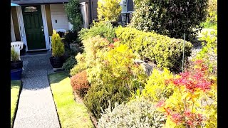 Beautiful Sun Kissed Garden Walkround & Cars from Shaun Vancouver Island by Tom McClean Positive Belfast 100 views 8 days ago 9 minutes, 28 seconds