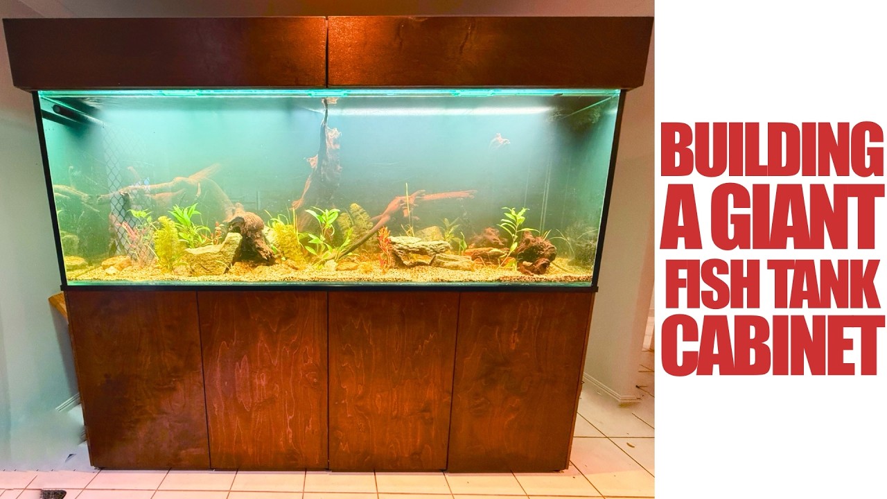 My Biggest Project This Year, A Fish Tank Cabinet