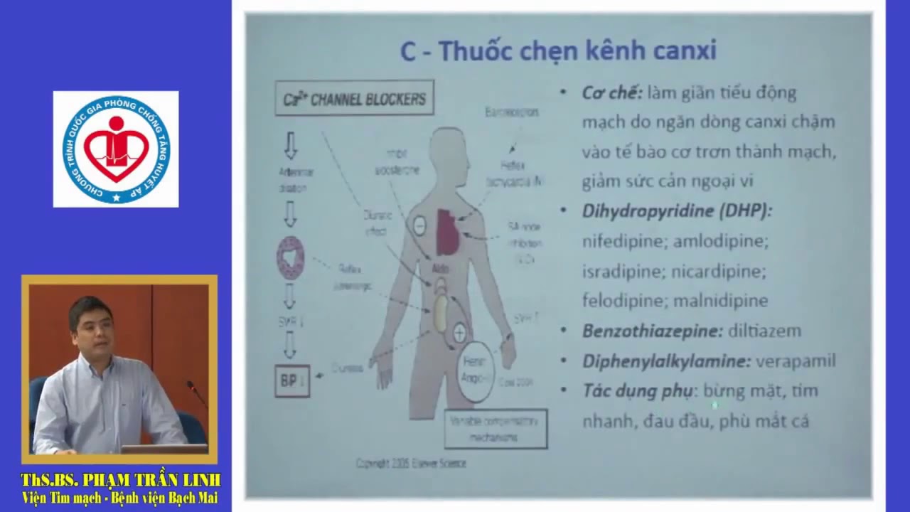 Thuốc chẹn kênh canxi trong điều trị tăng huyết áp