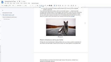 How to use Referencer
