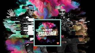 Flowliner - Escaleren