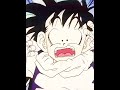 Gohan and piccolo   7 years amv 