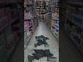 تعريف الهاشيرا تعريف الهاشيرا