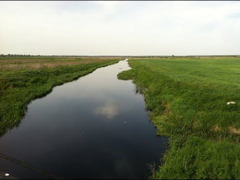 Мужчина утонул в реке Ипа в Калинковичском районе - YouTube