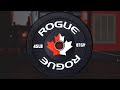 Your best bumper plate option  the rogue echo v2 bumpers  shorts