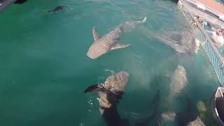 HORIZONTAL FALLS  FROM DERBY WESTERN AUSTRALIA  SEAPLANES,, FASTBOATS AND SHARKS