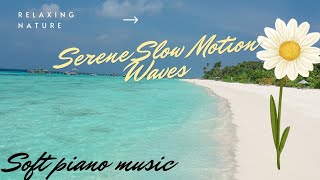 Serene Slow Motion Waves & Daisy Flowers with Soft Piano Music | Relaxing Nature Video