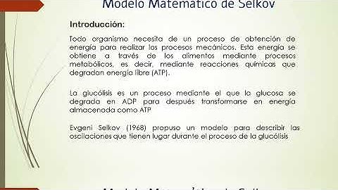 SEMINARIO INTERNACIONAL: INTRODUCCIÓN A LOS SISTEMAS DINÁMICOS - SESIÓN 6