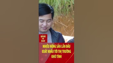 Nhiều nông sản lần đầu xuất khẩu tới thị trường khó tính | Đảng với Dân #shorts