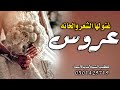 شيلة عروس حماسيه 2024 غنو لها الشعر والحانه شيلة مدح عروس باسم تهاني تهنئة العروس رقص طرب 