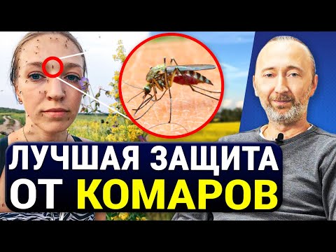 САМОЕ СИЛЬНОЕ И БЕСПЛАТНОЕ СРЕДСТВО ОТ КОМАРОВ! Без химии! 5 Натуральных мер избавления от комаров.