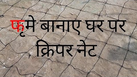 पेड़ों के लिए मचान कैसे बनाएं || creeper net kaise banae , homemade @Rpmehta1