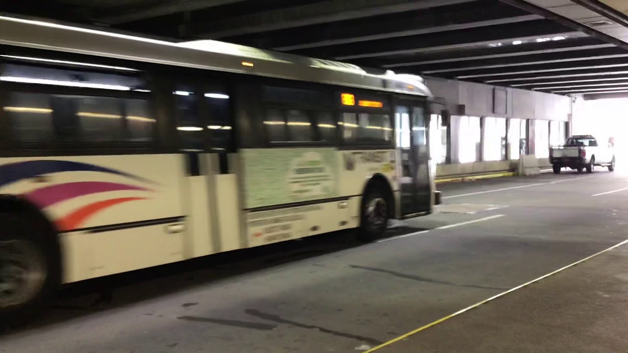 Nj Transit Bus 88 6044 YouTube Nj Transit Bus 88 6044 YouTube