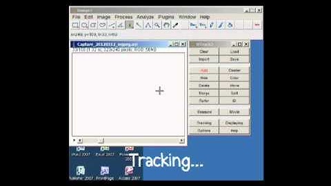 Motion Tracking - ImageJ