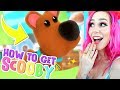 HOW TO GET SCOOB PET FOR FREE! New Scoob Update In ADOPT ME! (Roblox))