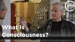 David Chalmers - What is Consciousness?