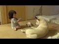赤ちゃん(1歳)と柴犬2