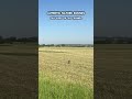Relaxing Nature Sounds & Birds #meditation #calm #nature #peace