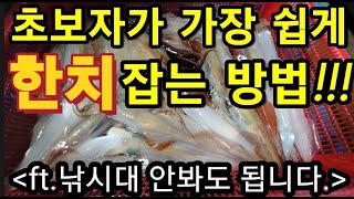세상에서 가장쉬운 한치낚시 방법!! 한치낚시 처음이시면 무조건 보세요!!