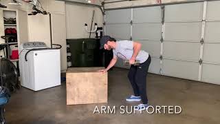 Single Arm DB Row Iso Hold