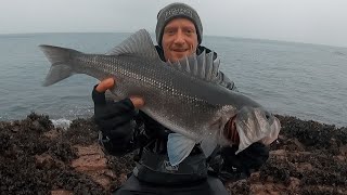 WHEN IT RAINS IT POURS | LURE FISHING FOR BASS IN WINTER | MEGABASS ZONK GATARIDE 120