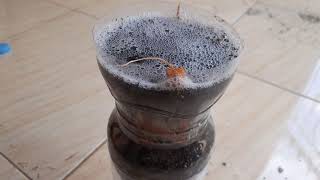 Alat filtrasi sederhana dari botol bekas