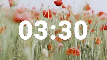 3 Minute 30 Second Timer with Relaxing Music and Alarm, Countdown Clock for Stress Relief
